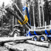 Timber trailor alpin 8t
