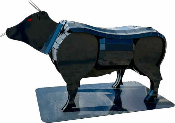 Taurus Binderberger