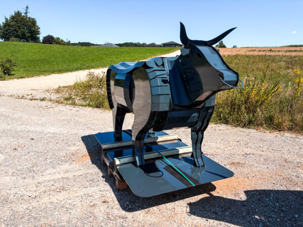 Binderberger Stier