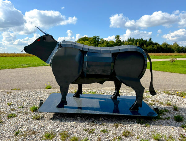 Binderberger Stier