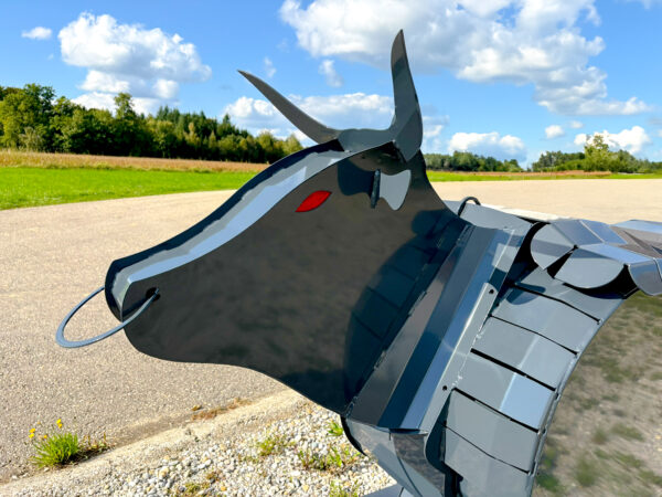 Binderberger Stier