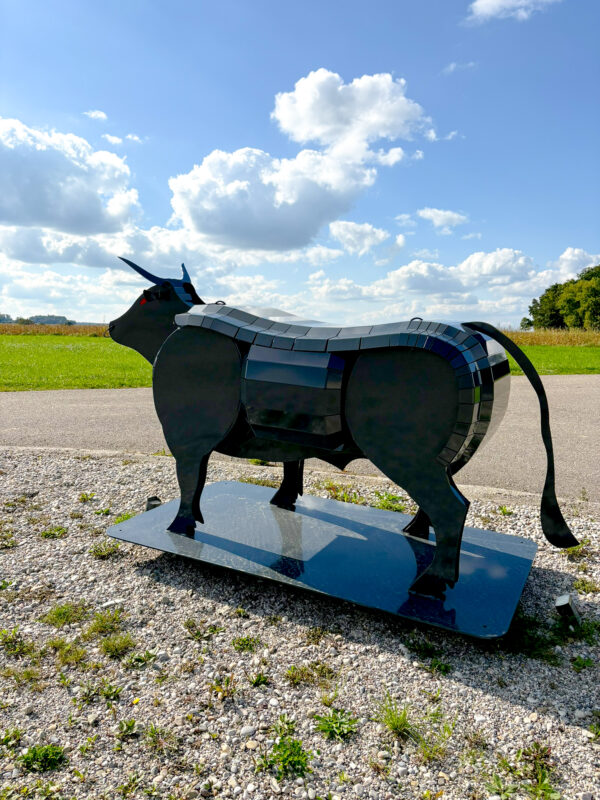 Binderberger Stier
