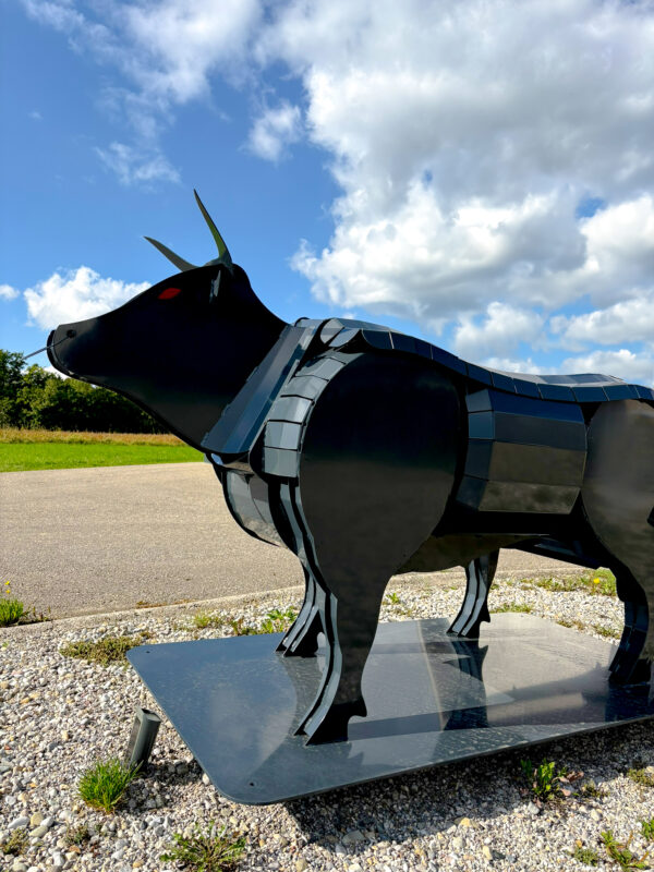 Binderberger Stier
